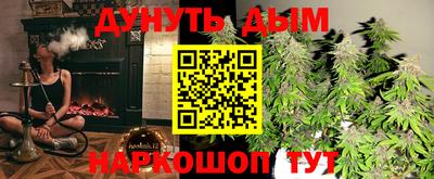 прущие грибы Апшеронск