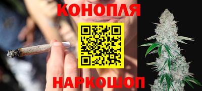 прущие грибы Апшеронск