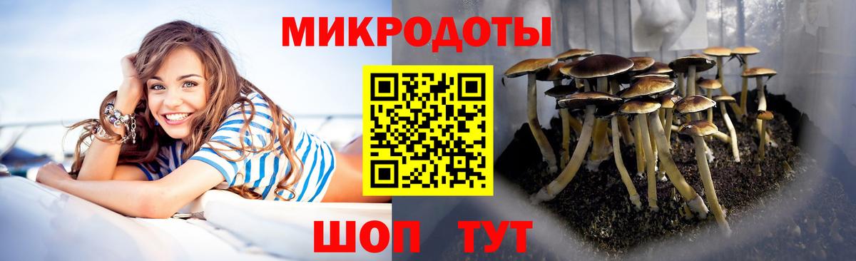 Псилоцибиновые грибы Magic Shrooms Великие Луки